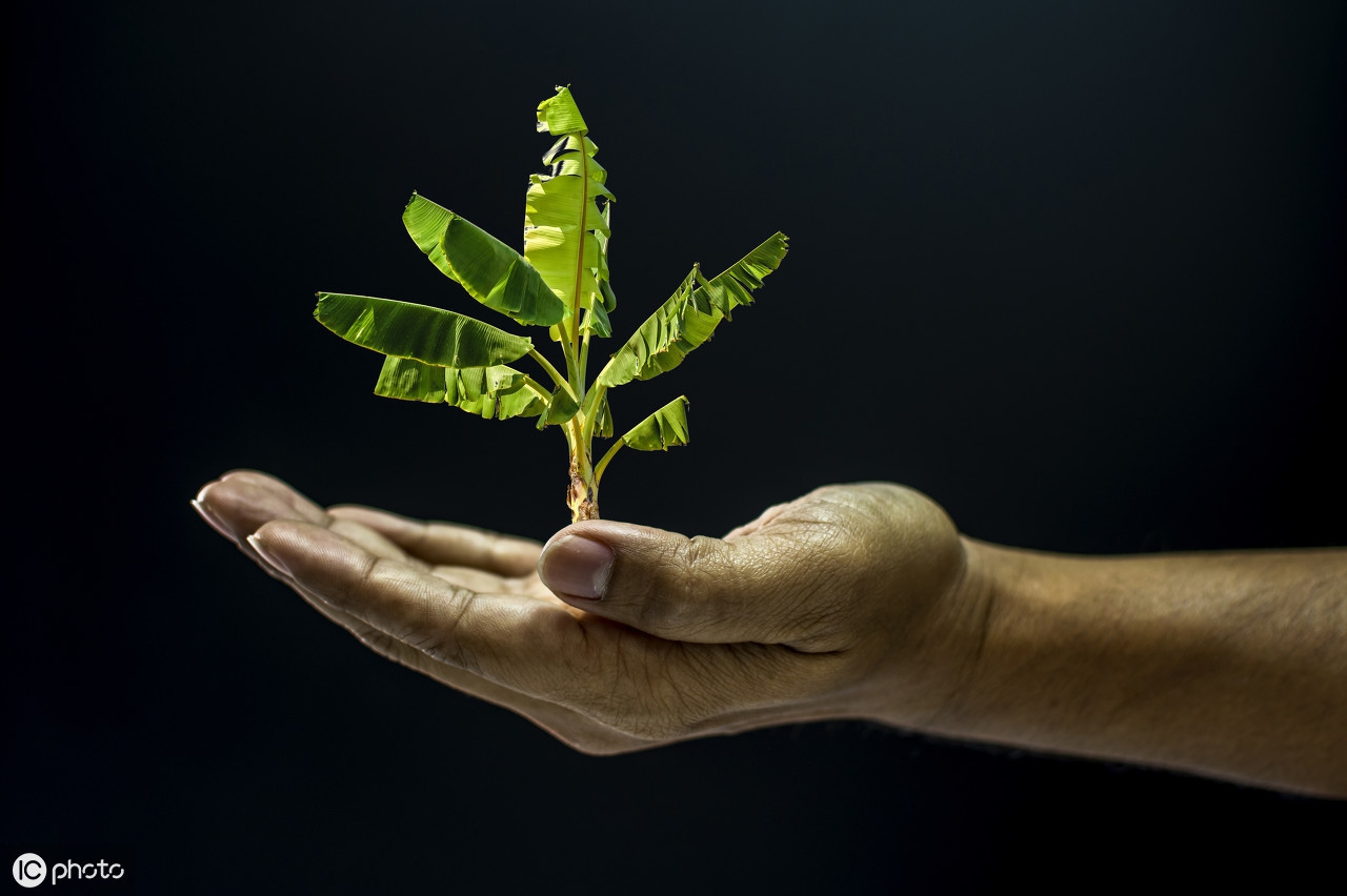 去“傲”之心，“谦”之礼
