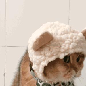 秋裤翻译成英文怎么说,秋裤英语怎么拼