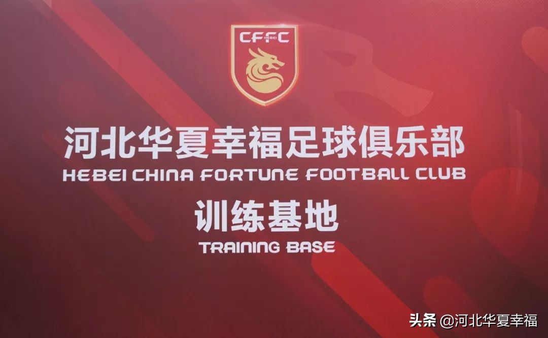 幸福小将陶强龙,吹响青训最强集结号