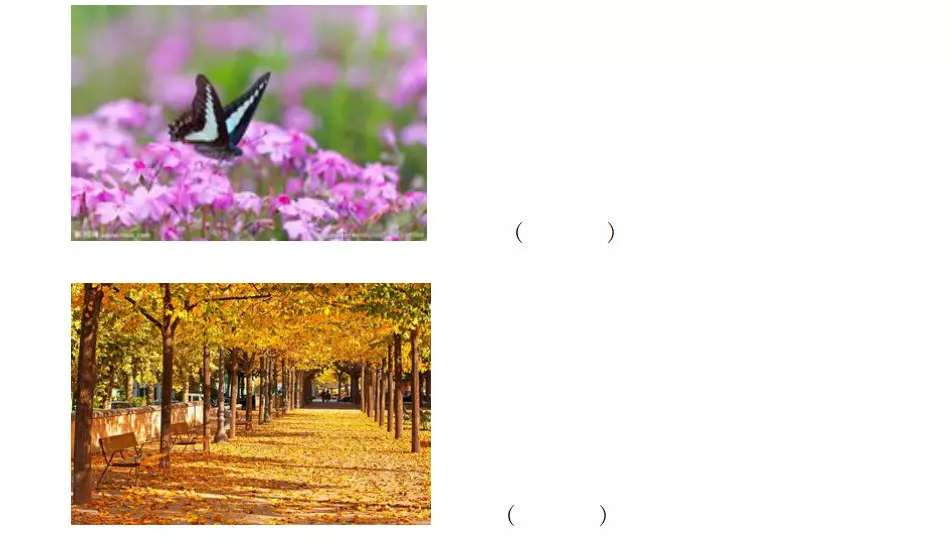 一年级语文下册春夏秋冬教学视频,一年级下册第一课春夏秋冬的课文