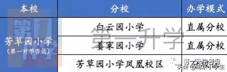 超厉害！芳草园小学这群娃摘得全国双料冠军