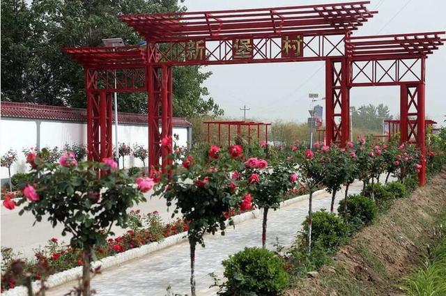 11月5日渭南文化旅游资讯微报组图,渭南文化旅游新动向