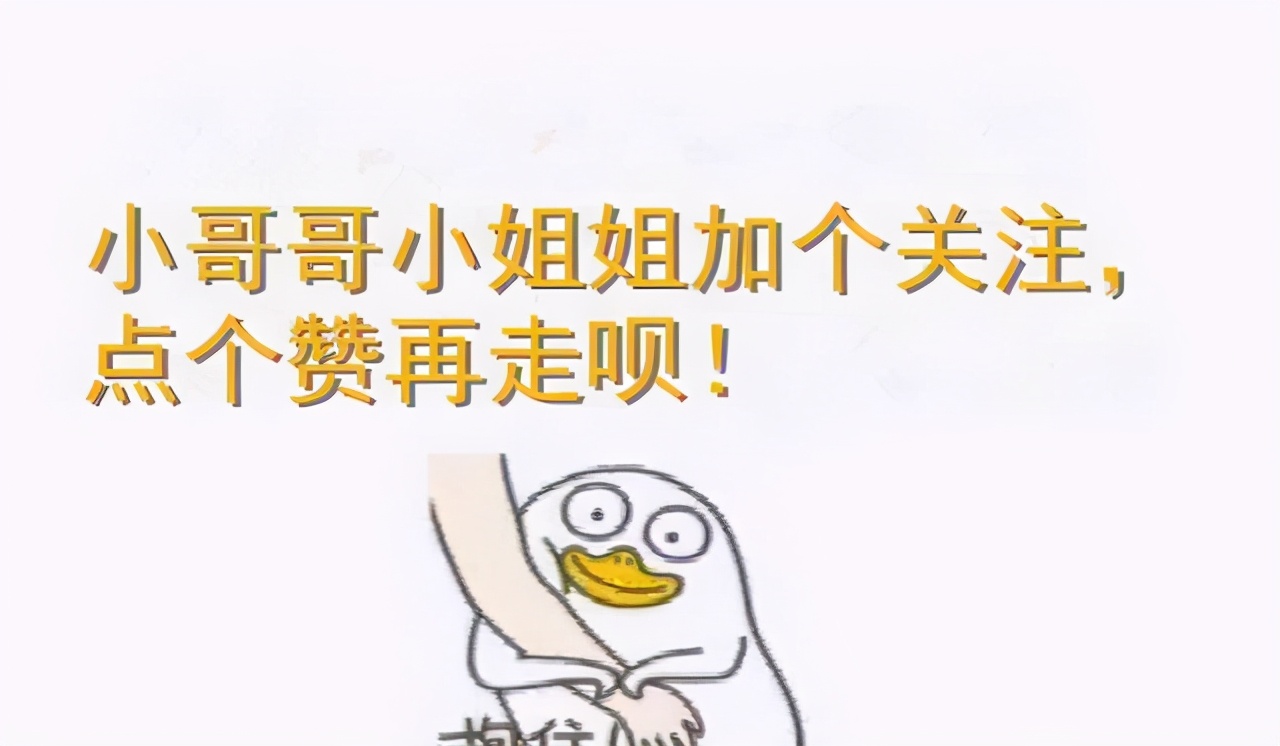 养猫的猫粮平价,618猫粮推荐烘焙