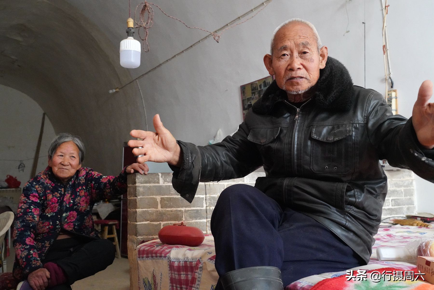 山西8旬大爷把母猪当宠物养,1窝小猪卖14600元,无本生意