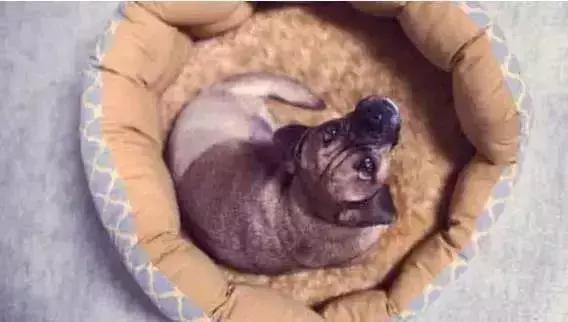 10个变废为宝的小妙招装饰你的家,家居改造变废为宝