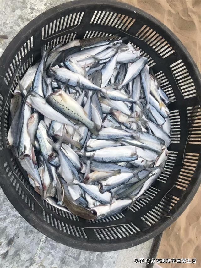 辽宁省绥中县东戴河海滩浴场,辽宁海边海岛旅游推荐