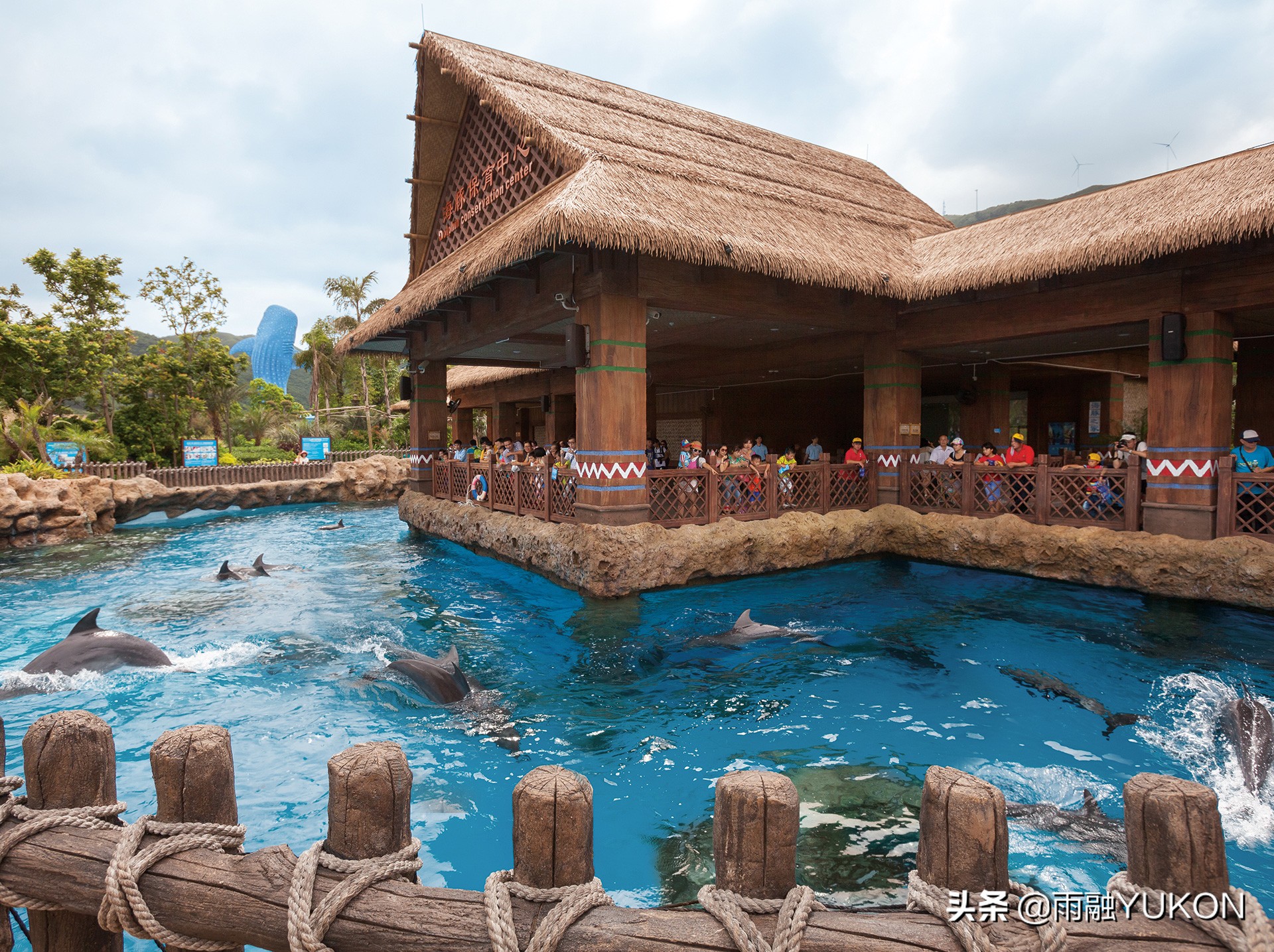 国内最大的海洋主题公园,世界最大的中国海洋公园
