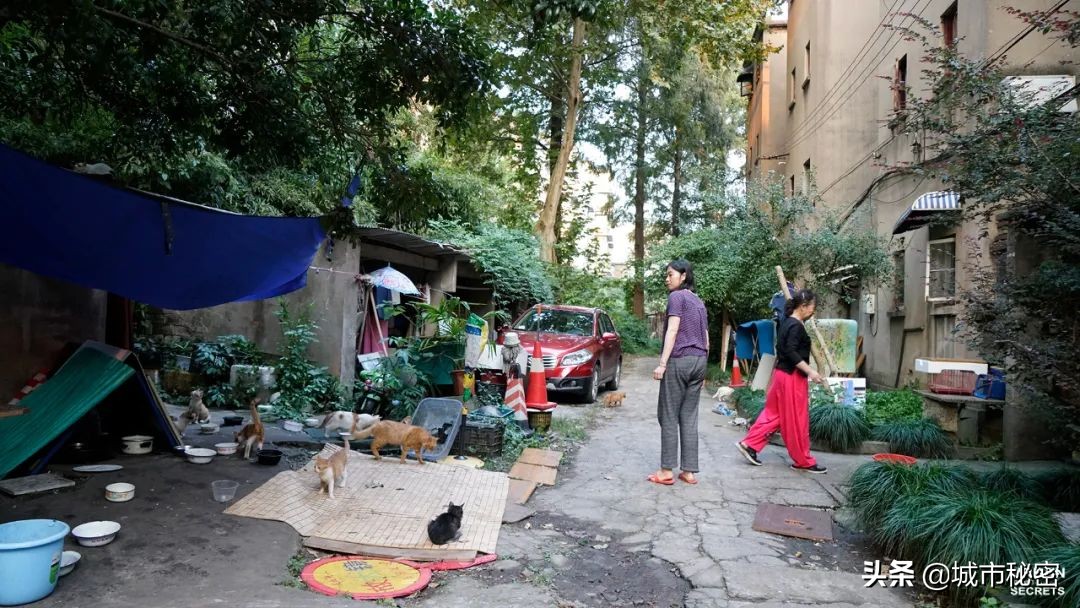 杭州文教区房价,杭州大学城北为什么房价那么高