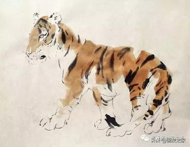 蔡育贤写意老虎的画法,写意老虎画法教学视频
