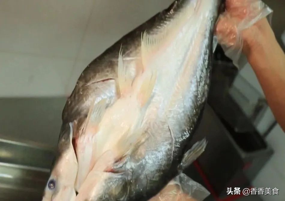 特别好吃的爆辣酸菜鱼,又香又辣的酸菜鱼