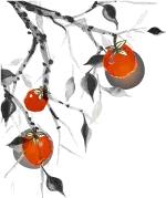 每日一字一,每日一字日