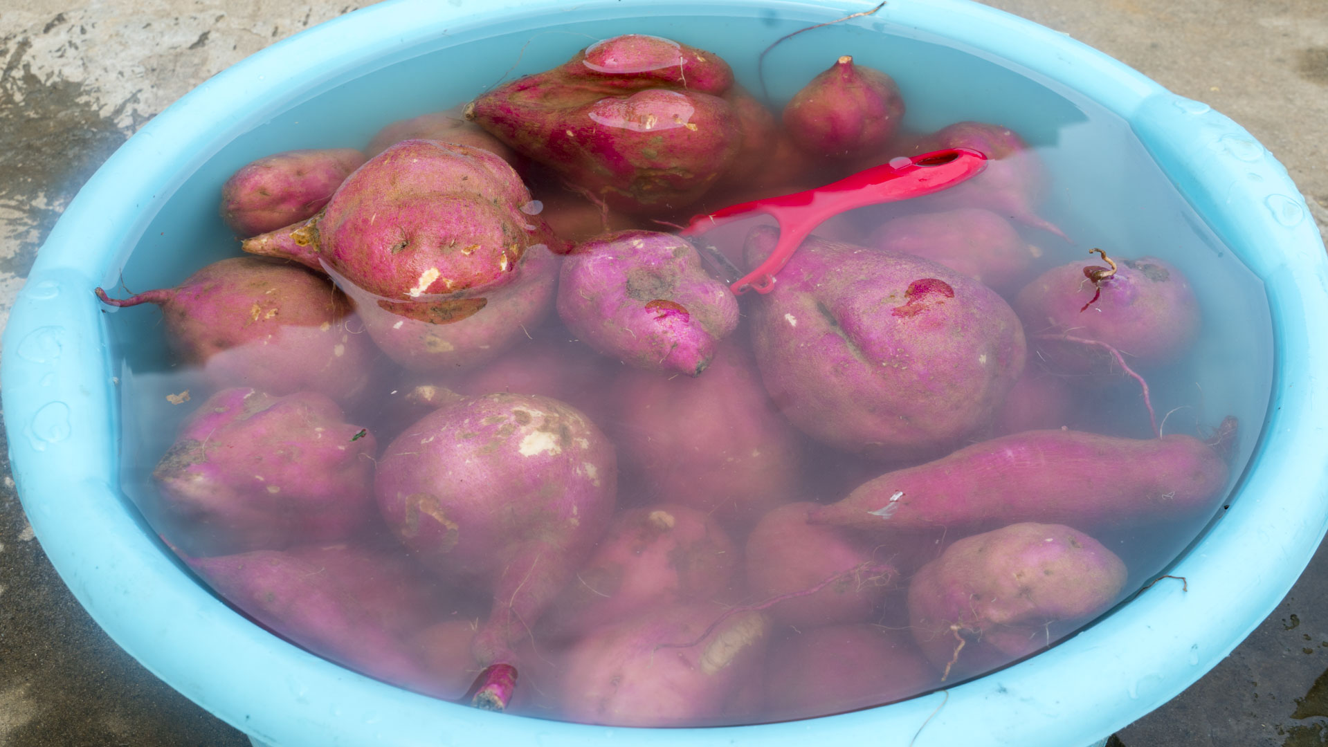 秋季滋补多吃10种食物,秋季食疗养生食谱