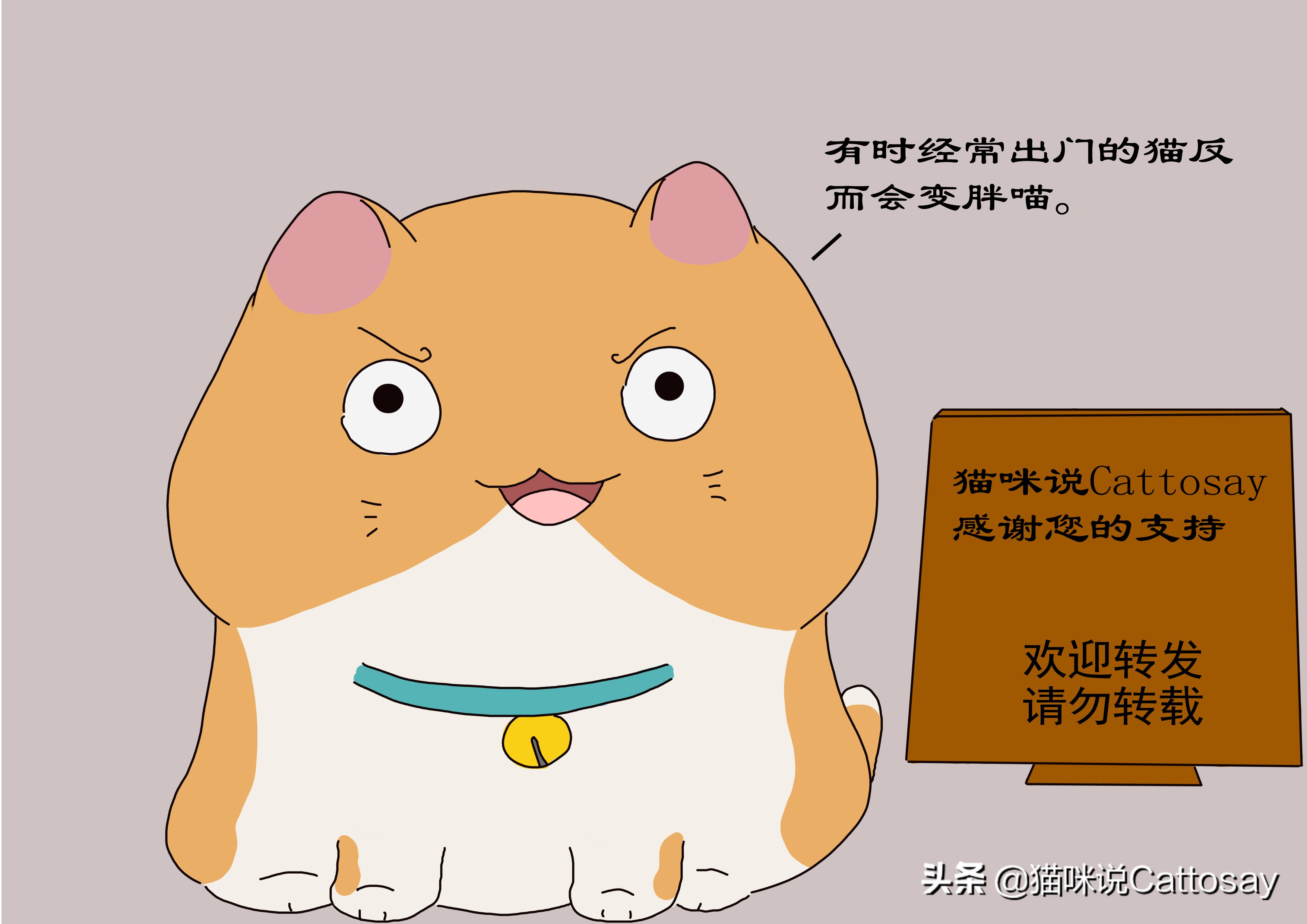 家猫出门遇到野猫,家猫每晚出去和野猫玩