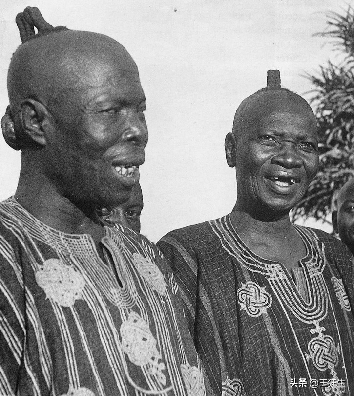 Blinkist性别教育：《她/他/Ta们/我》