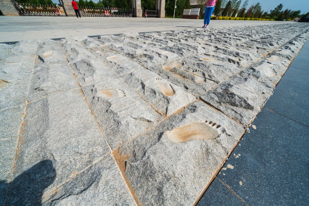 她是滔滔千里黄河的宠儿,阴山之下、河套之上的掌上明珠