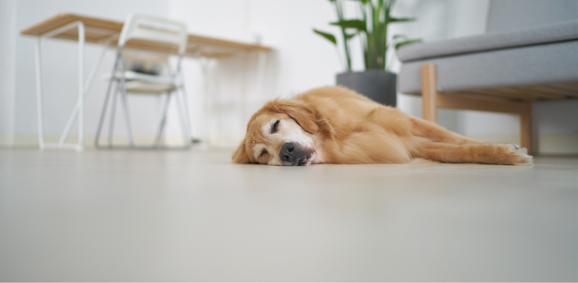 水泥自流平要怎样才做得好,水泥自流平有哪些优缺点