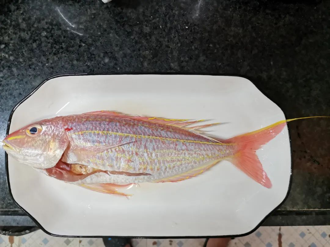 开海季都有什么海鲜,开海了这些生猛海鲜