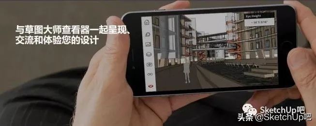 猛虎落泪指的什么动物打一生肖,猛虎落泪代表什么生肖打一动物