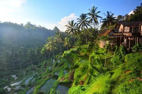 年轻时候的朱莉娅罗伯茨,朱莉娅·罗伯茨演的最好的影片