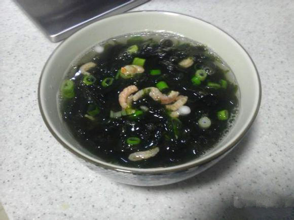 史上最全海鲜视频,史上最全海鲜贝类大全