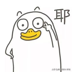 阳光体育节的超燃瞬间,阳光文化节方案