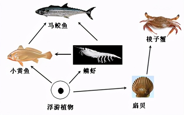 临沂2022生物会考答案,罗庄区生物一模试卷