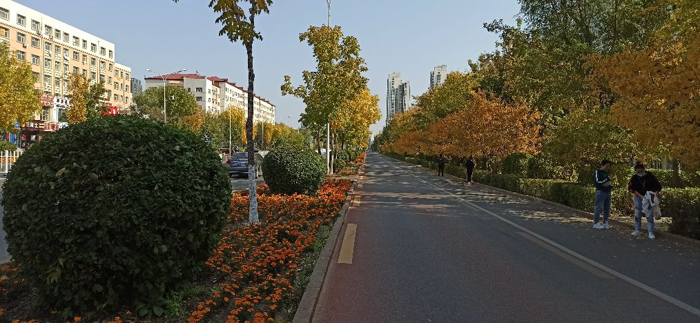 勤劳致富是一个伪命题,孟子为什么要提出不违农时