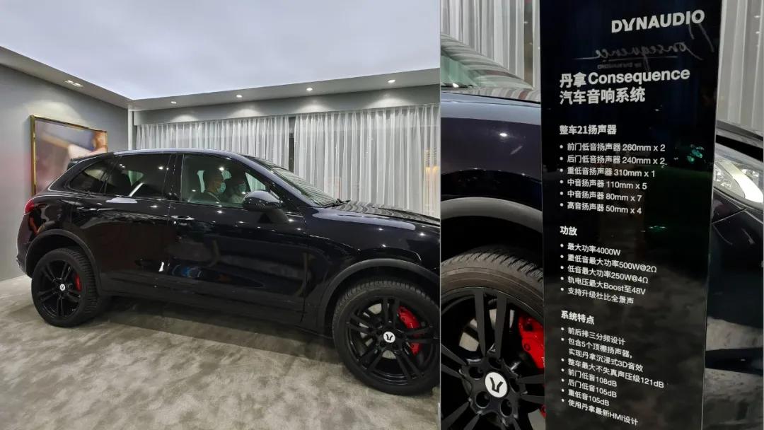 丹拿车载高级音响,丹拿consequence至尊