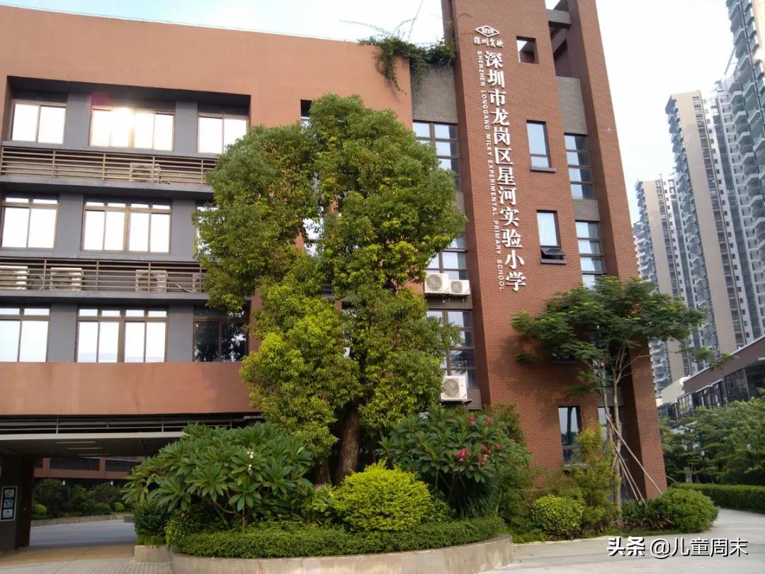 扒一扒深圳教育集团的老牌小学|南山龙岗篇
