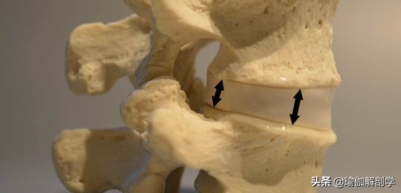 腰椎间盘突出适合练瑜伽哪些动作,腰椎间盘突出做什么瑜伽可以恢复