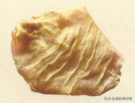 哪种鱼胶最好7种鱼胶的分类,鱼胶知识与食用方法