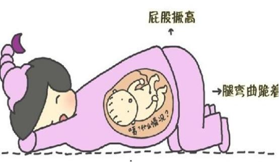 胎位不正多少周做胸膝卧位纠正,胎位不正膝胸卧位矫正多少周