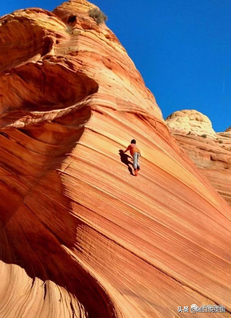 荒野乱斗流彩伊芙强度,荒野行动榴弹怎么用