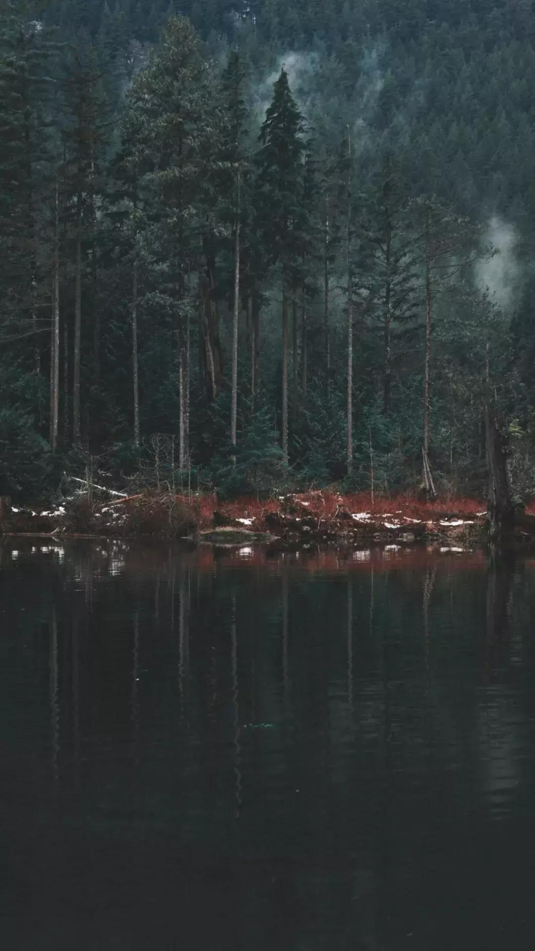 壁纸控超清壁纸,壁纸控wallpaper