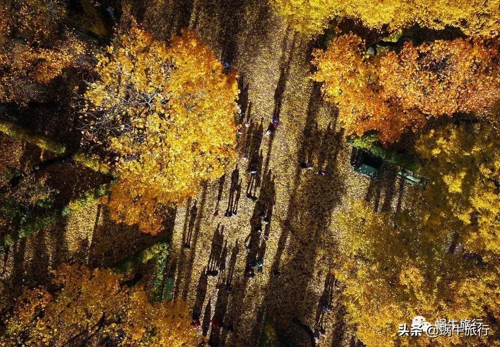 金秋俄罗斯≈霸占一年最美！蜗牛自组限时4K起特价，团队免签