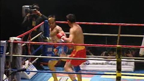 散打王一战成名,中国散打王腿法集锦