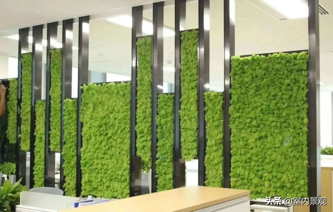 植物花园墙,植物墙与永生植物墙不同