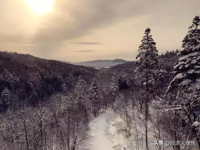 日本一个岛国为什么经济这么强,日本一个岛国为什么如此强