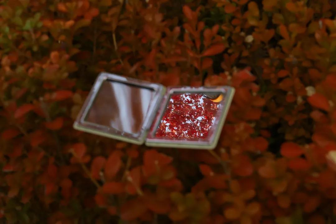 醉美大工秋|读书不觉已秋深，____________