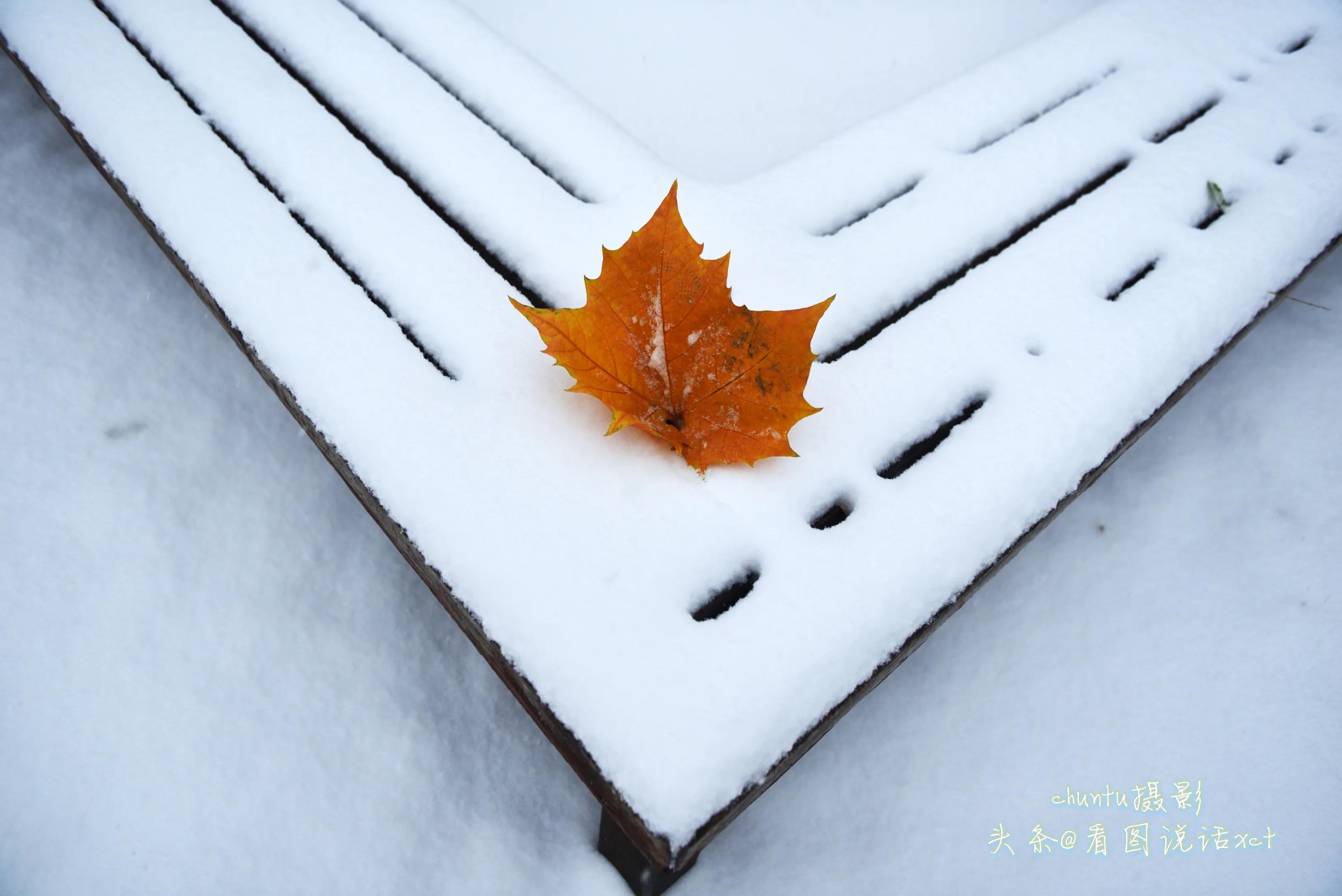 青龙下雪的情景,青龙县今天下雪了吗