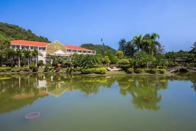 温泉小镇44平房子效果图,温泉小镇6层洋房