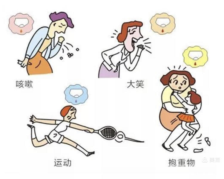 盆底肌这么重要你知道吗,腹直肌与盆底肌哪个重要