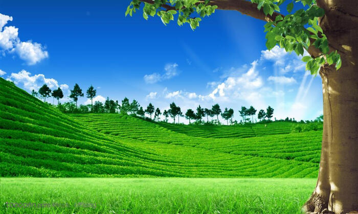 摆脱霉运的最佳方法,当你运气不好时会想什么办法