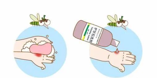 蚊虫叮咬后怎样快速消肿止痒,蚊虫叮咬后如何快速消肿止痒