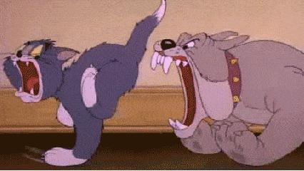 日本贵妇精华液排行榜,日本精华液护肤品推荐