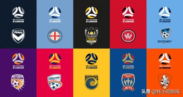 亚洲各国足球联赛,亚洲足球各大杯赛