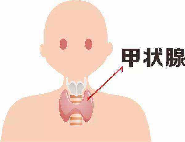 教师容易得甲状腺病吗,甲状腺是老师的职业病吗