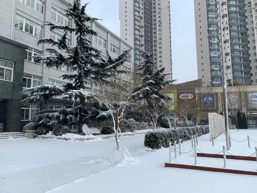 辽宁附属高级中学,辽宁师范大学附属中学2017