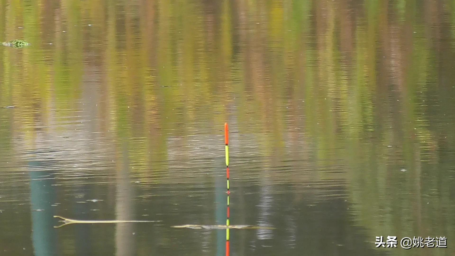 正确调漂的原理和方法,调漂总是只有一目