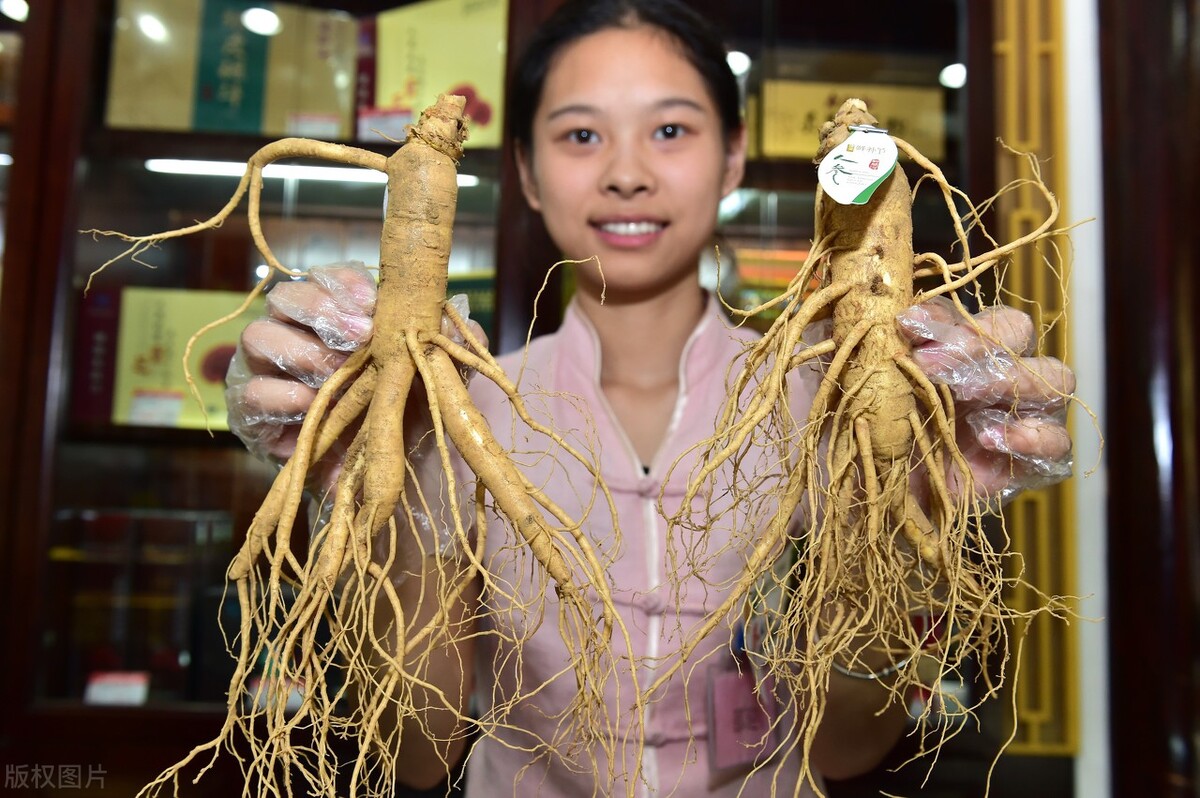 棒槌鸟叫了挖参人乐了专家却迷惘了因为挖参人懂得棒槌鸟语